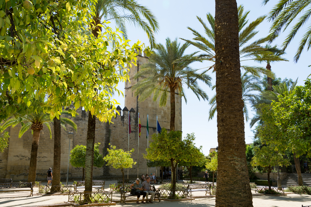 20171005 144400 , Cordoba, Andalusia, Spain